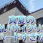 和歌山のディズニーシー（？）に行ってきた　ビジネスホテル圭～和歌山県和歌山市～　おすすめビジネスホテル104泊目