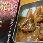 1食1000円高級レトルトカレーライスをハイボールでキメるだけの動画