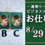 【ビジネス×タロット】2022年8月29日～9月4日　一週間リーディング       LIVE:未来を創る月曜朝のビジョン