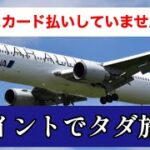 マイルを貯めてタダ旅！イタリアにビジネス渡航2名100万円が、たったの6万円で行けちゃう！(2021年購入時)