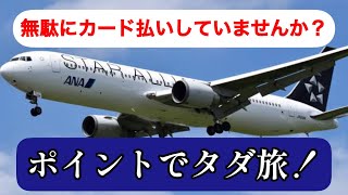 マイルを貯めてタダ旅！イタリアにビジネス渡航2名100万円が、たったの6万円で行けちゃう！(2021年購入時)