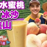 【食尚玩家2天1夜go】爆吃水蜜桃之旅 大口喝現打水蜜桃冰沙 夏天消暑就靠這一味！ 網路獨家 SuperTaste in Lala Shan, Taiwan 20220810