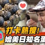 【宜蘭】打卡熱搜！媲美日知名蛋糕店【食尚玩家2天1夜go】20220824 (3/3)