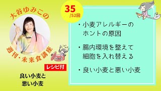 【週刊未来食講座35/52】良い小麦と悪い小麦についてヴィーガン歴40年の著者が語る　#vegan #ヴィーガン