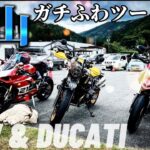 走りと食に拘ったツーリング。バイク友達たちと4人で最高のひととき。