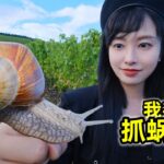 在法国抓蜗牛吃，法国一年吃掉6000吨的蜗牛味道如何？| 农村 | 美食 | 法国 | 户外 | 蜗牛 |