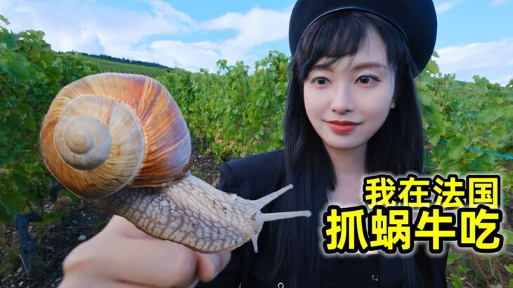 在法国抓蜗牛吃，法国一年吃掉6000吨的蜗牛味道如何？| 农村 | 美食 | 法国 | 户外 | 蜗牛 |