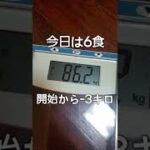 6食でした25日後に更に5キロ痩せるロックのボーカル#shorts