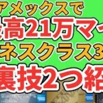 【ANAアメックス】21万マイル以上獲得可！ビジネスクラス3往復の裏技と年会費を抑える裏技を紹介