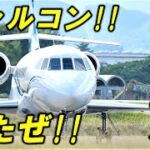 FBJ 超かっこいいビジネスジェット 激レア機 美しいファルコン！！信州まつもと空港