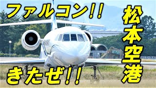 FBJ 超かっこいいビジネスジェット 激レア機 美しいファルコン！！信州まつもと空港