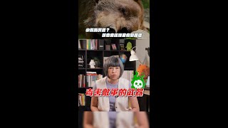 小熊喝醉酒？誤食瘋狂蜂蜜癱倒路邊【TODAY 看世界】#shorts