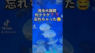 浅虫水族館くらげ発見😂#浅虫水族館#浅虫#青森 #起業 #恐山 #フォロワー増やしたい #おすすめ #ThisisHowWeRoll