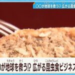 ○○が地球を救う⁉  広がる昆虫食ビジネス