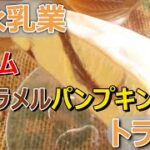 【実食】森永乳業「パルム キャラメルパンプキン」ねっとりキャラメルとかぐわしいかぼちゃの組み合わせ