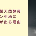 【自家製天然酵母】パンに酸味が出る理由　起業　コーチング　コンサルティング　オンライン講座