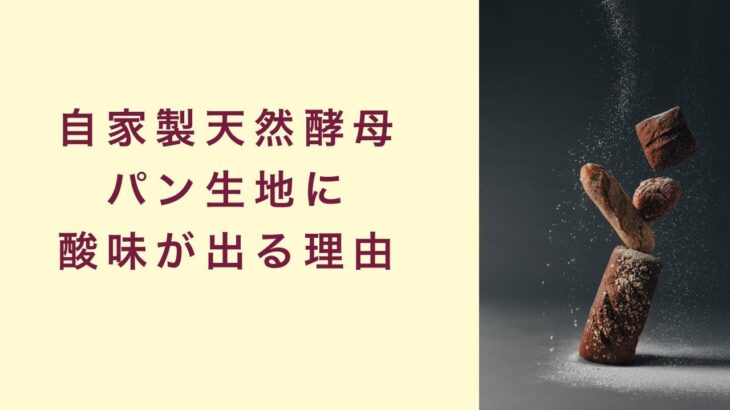 【自家製天然酵母】パンに酸味が出る理由　起業　コーチング　コンサルティング　オンライン講座