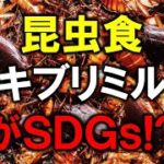 【閲覧注意】昆虫食、ゴキブリミルク、うんこバーガーがＳＤＧｓ！？