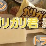 【実食】セブン「赤城 ガリガリ君 梨」上品なフルーツの香りに歯ざわり楽しい氷！洋酒をかけても美味