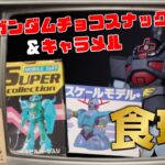 森永の食玩！ガンダムキャラメルもあったの覚えてる！？の巻