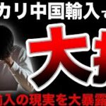 【これ知らないと失敗します】僕が中国輸入ビジネスで大損した話。