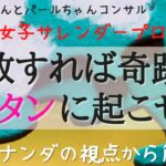 奇跡はカンタンに✨ミカナンダ解説✨起業家女子へ贈るハッピー理論✨