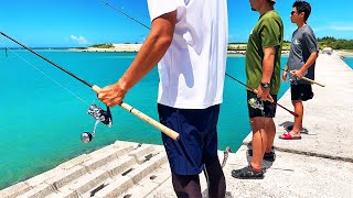 あんなに魚が…、あれ釣って酢味噌和えで食おう