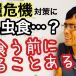 『昆虫食』は食糧危機・食糧難の解決策にならないと思う理由と代案【食糧不足問題】