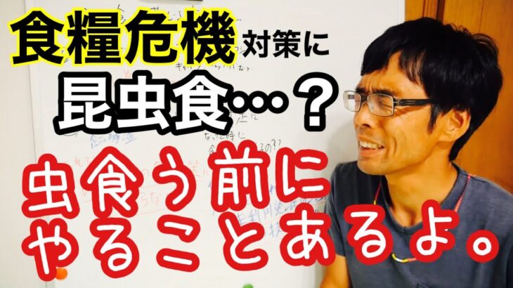 『昆虫食』は食糧危機・食糧難の解決策にならないと思う理由と代案【食糧不足問題】