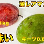 【激ウマのマンゴー】キーツ種と玉文種の食レポ．かなり美味しかった！