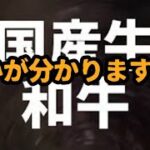 国産牛と和牛の嘘を知ってほしい【食の安全】