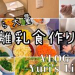 【vlog】30w2d妊婦健診🤰🏻| 大量離乳食ストック作り🥣 | 中期食・もぐもぐ期 | 妊婦のワンオペ育児👶🏻