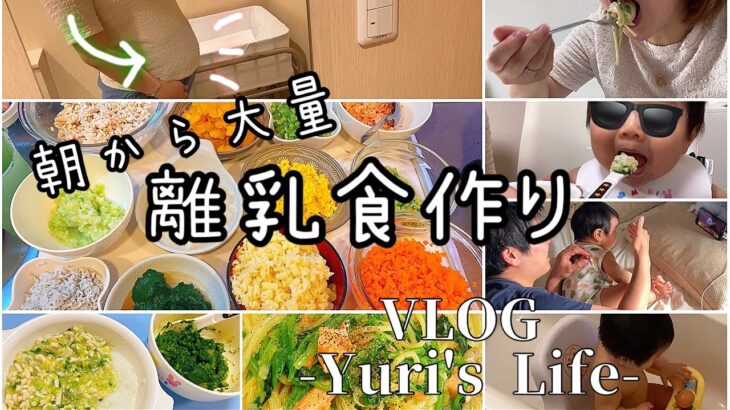 【vlog】30w2d妊婦健診🤰🏻| 大量離乳食ストック作り🥣 | 中期食・もぐもぐ期 | 妊婦のワンオペ育児👶🏻