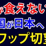 もう限界！？韓国人が「1日1食になるかも」と嘆き、日韓通貨スワップ切望論が再燃した模様・・・【アカツキ】