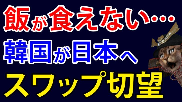 もう限界！？韓国人が「1日1食になるかも」と嘆き、日韓通貨スワップ切望論が再燃した模様・・・【アカツキ】