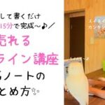 【起業初心者さん向け】15分でノート1枚にまとめて完成するカンタン講座の作り方・組み立て方・価格設定の方法＜実際まとめた時のノートも公開＞