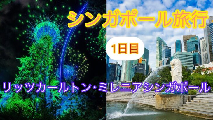 2022年8月　シンガポール航空ビジネスクラスで行くシンガポール4泊5日(機内1泊) ザ･リッツカールトン ミレニアシンガポール　グラブフロア宿泊