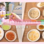 【離乳食後期】離乳食が3回食になった1日のタイムスケジュール/手づかみ食べ〈生後10ヶ月〉