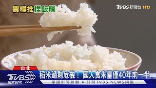 稻米過剩危機! 每人年食米量40年來腰斬一半｜十點不一樣20220902