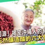 「醫食同源」揭密沖繩人的長壽秘訣！天然釀造醋的六大營養素！【57健康同學會】｜隋安德 許晶晶 陳柏臣 謝宜芳 曾建裕 張朝龍 洪素卿