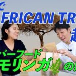 大学卒業後にAFRICAN TREEを起業！ケニアの村への想いlvol.233