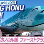 【ANA FLYING HONU】空飛ぶウミガメ!?A380の機内をご紹介!【ファーストクラス・ビジネスクラス】