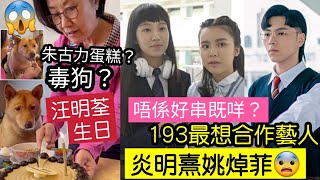 轟動！汪明荃餵狗「食朱古力蛋糕？」網民話「隨時無命」Error193「唔係好吋咩？」開聲話「想同炎明熹姚焯菲」合作！TVB安排佢「上獎門人」有得搞？