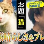 猫を飼うと起業志向が高まる？ Microsoft には猫の社員証がある？猫の知られざる秘密を語ります。ビジネスで使える IT ネタをお届けする「ネタバース」 | 日本マイクロソフト