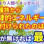 NO.170 スピリチュアル界でも『食に対しての警告』が高まっている！身体を大切にせよ！