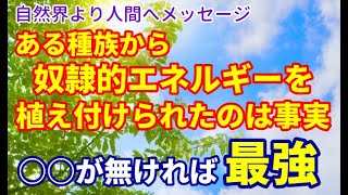 NO.170 スピリチュアル界でも『食に対しての警告』が高まっている！身体を大切にせよ！