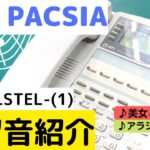 ビジネスフォン保留音紹介！～ NTT PACSIA MBS-6LSTEL-(1) ～ Disney　美女と野獣　アラジンのテーマ