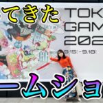 【感想】TOKYOゲームショウビジネスDAY試遊してきた【ノベルティもあるよ】