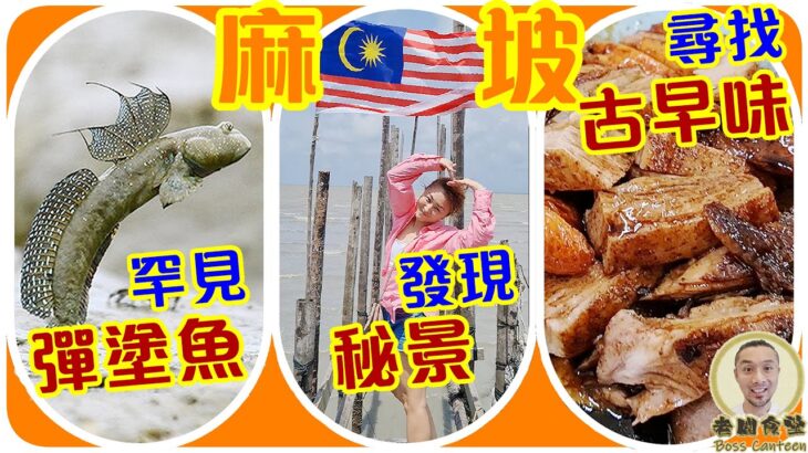 帶你睇不一樣的 麻坡  食|住|玩 精選地點【老闆食堂】TeDDY 泰迪 (WhatsApp 查詢 +60 122 503 690)