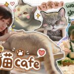 VLOG 🌈又平又好食嘅貓貓cafe！同蛙妹一齊去做盆景workshop🪴+打邊爐 日常【放假去邊好？】｜肥蛙 mandies kwok